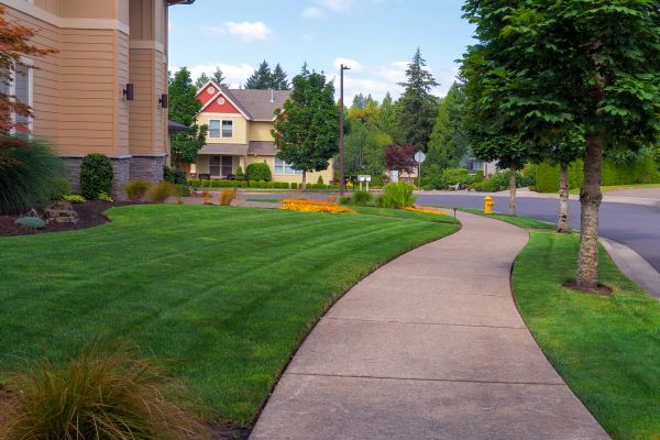 Cost of Sidewalk Patching in Bloomington