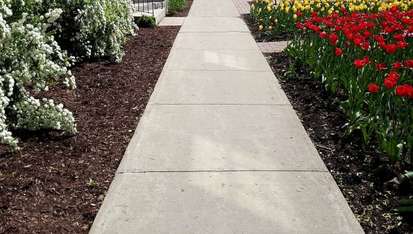Concrete Pathway Repair in Bloomington